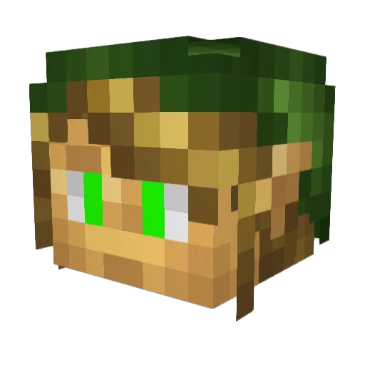 EHSDRAGON Minecraft avatar head, 3D render