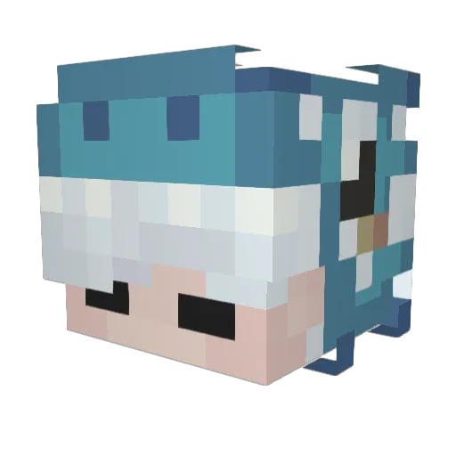 EHb1n Minecraft avatar head, 3D render