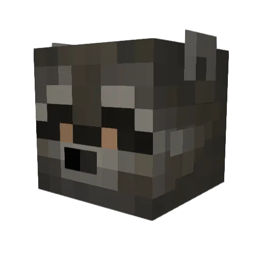 EHoT_KPoT Minecraft avatar head, 3D render