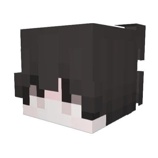 EIEIW Minecraft avatar head, 3D render