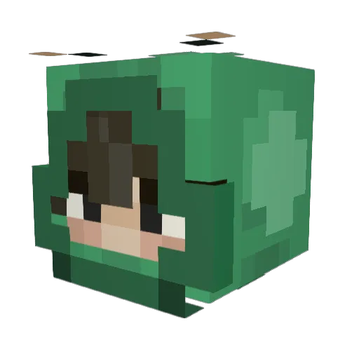 EIGer50 Minecraft avatar head, 3D render