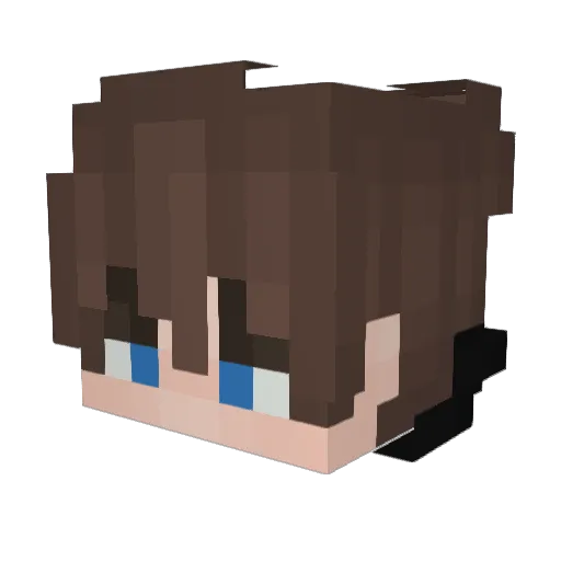 EIVF Minecraft avatar head, 3D render