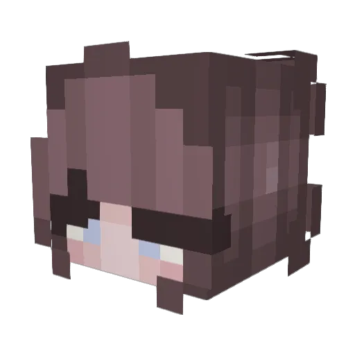 EIa1ne Minecraft avatar head, 3D render