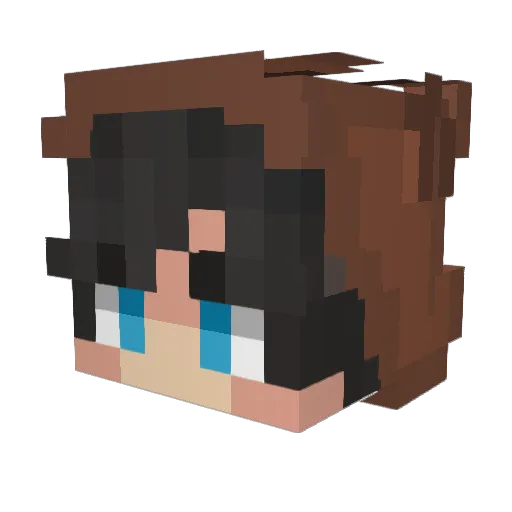 EIiminate Minecraft avatar head, 3D render