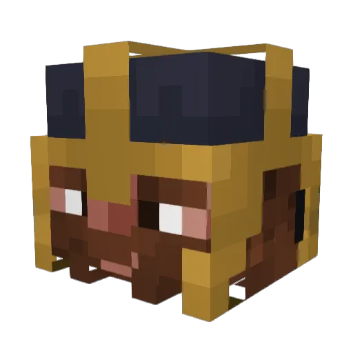 EIite_Knight Minecraft avatar head, 3D render