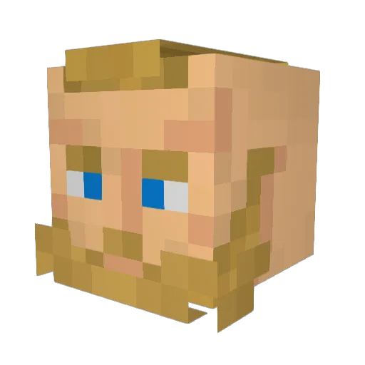 EJ2105 Minecraft avatar head, 3D render