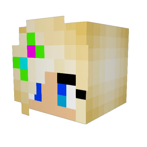 EJAVL Minecraft avatar head, 3D render
