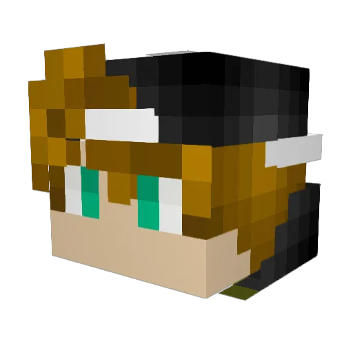 EJDJ1999 Minecraft avatar head, 3D render