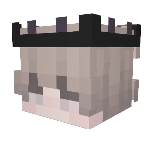 EJFN Minecraft avatar head, 3D render