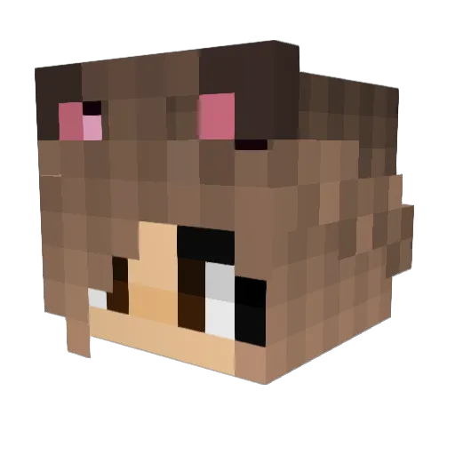 EJMMB Minecraft avatar head, 3D render