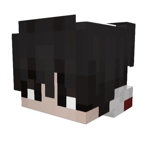 EK7_ Minecraft avatar head, 3D render