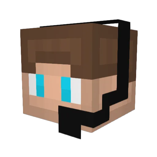 EKG Minecraft avatar head, 3D render