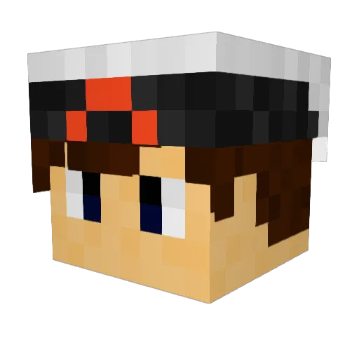 ELB0WBOY71 Minecraft avatar head, 3D render