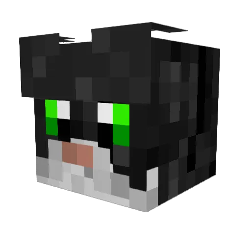 ELBourreau Minecraft avatar head, 3D render