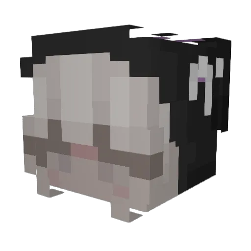 ELCAPITANO___ Minecraft avatar head, 3D render