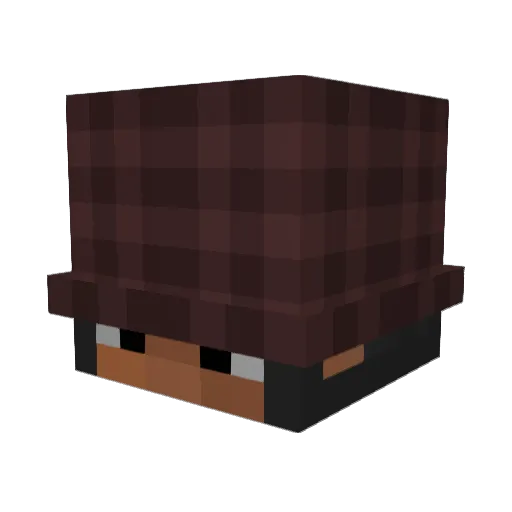 ELECTRICFEEL Minecraft avatar head, 3D render