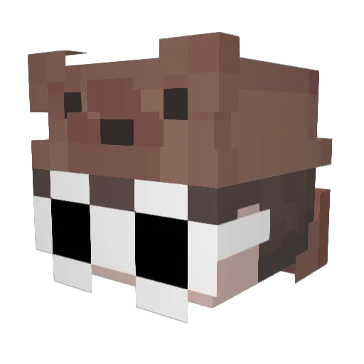 ELFORERVER Minecraft avatar head, 3D render
