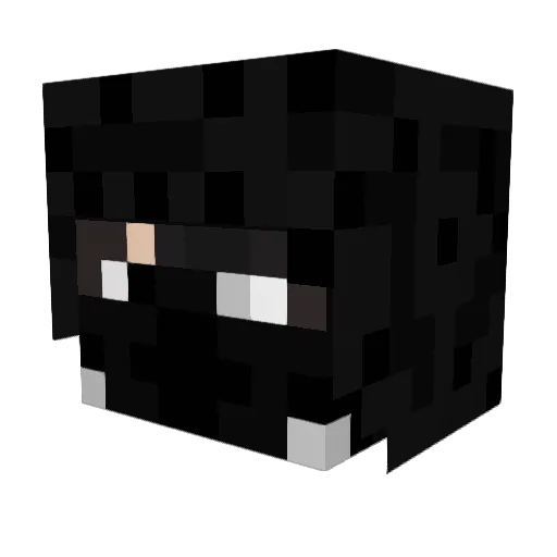 ELF_EaZyKillzzyo Minecraft avatar head, 3D render