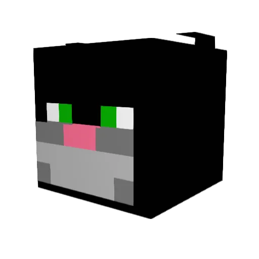 ELGATOPELUDIN Minecraft avatar head, 3D render