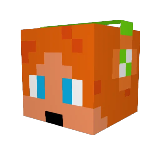 ELLIE131 Minecraft avatar head, 3D render