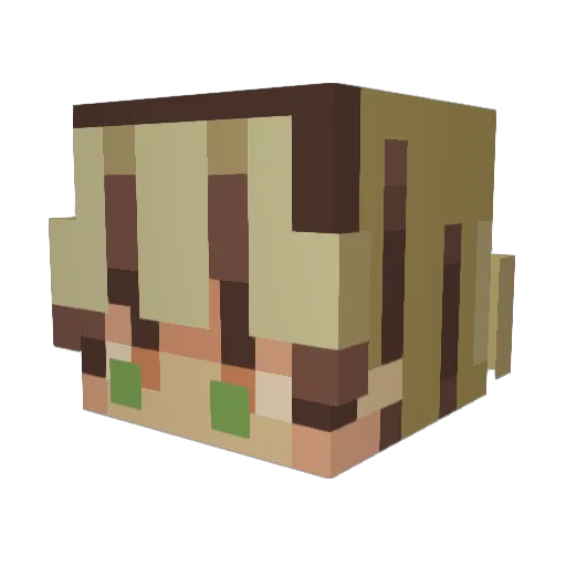 ELLISBDERM Minecraft avatar head, 3D render
