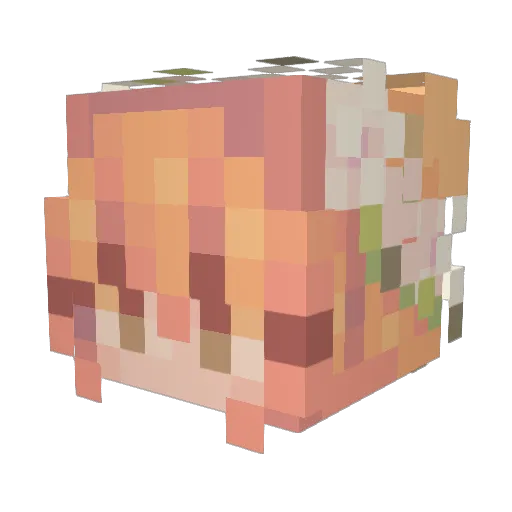 ELLY_RI Minecraft avatar head, 3D render