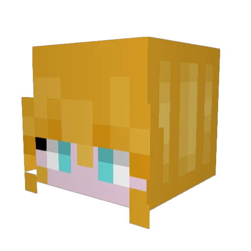 ELLZNAGA21 Minecraft avatar head, 3D render