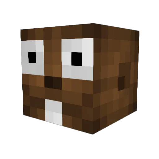 ELPIPA Minecraft avatar head, 3D render