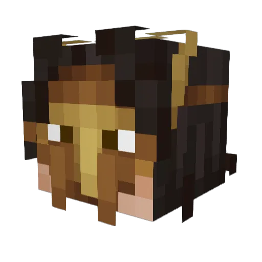 ELRowdy Minecraft avatar head, 3D render