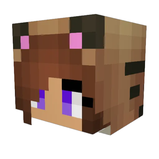ELSAN123 Minecraft avatar head, 3D render