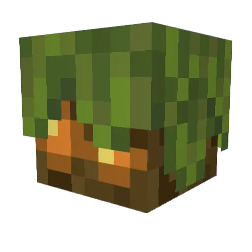 ELSZ2222 Minecraft avatar head, 3D render