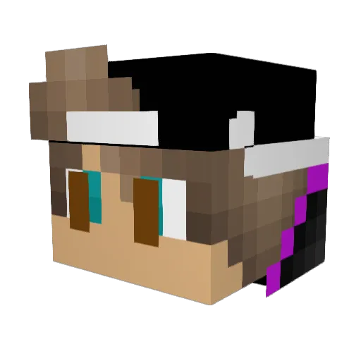 ELX_jon Minecraft avatar head, 3D render