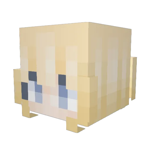 EL_sann55 Minecraft avatar head, 3D render