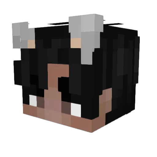 ELcaptian2cool Minecraft avatar head, 3D render