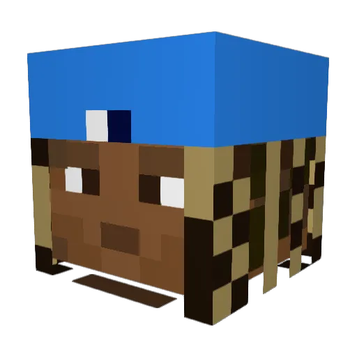 ELlT0 Minecraft avatar head, 3D render