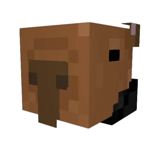 EMAX2509 Minecraft avatar head, 3D render