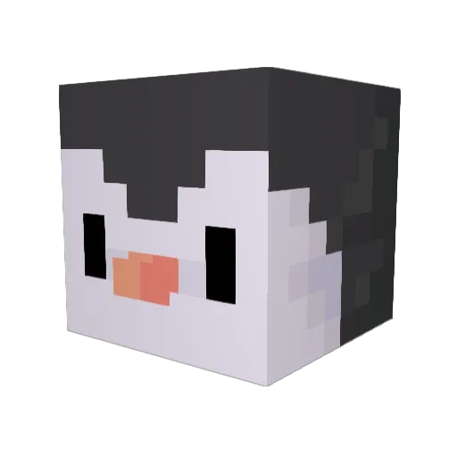 EMC47 Minecraft avatar head, 3D render
