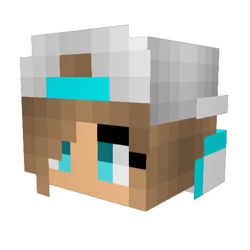 EMILY9796 Minecraft avatar head, 3D render