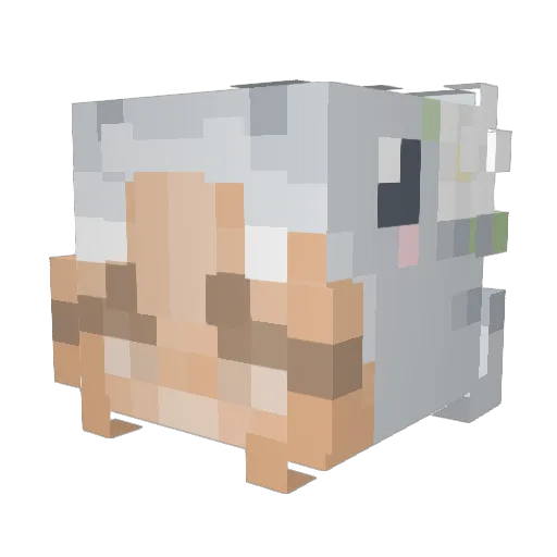 EMILY_120 Minecraft avatar head, 3D render