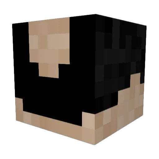 EMP02_ Minecraft avatar head, 3D render
