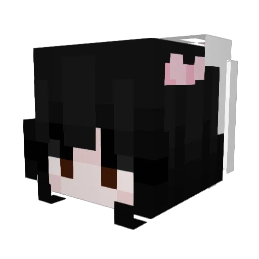 EMPRESS5 Minecraft avatar head, 3D render
