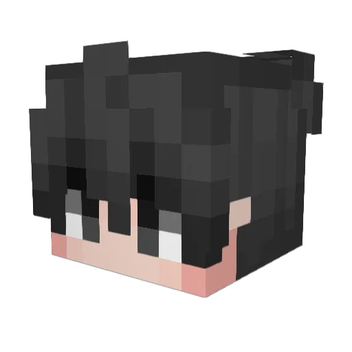 EMS_P Minecraft avatar head, 3D render