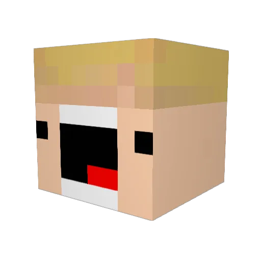EM_LlamaPower_XD Minecraft avatar head, 3D render