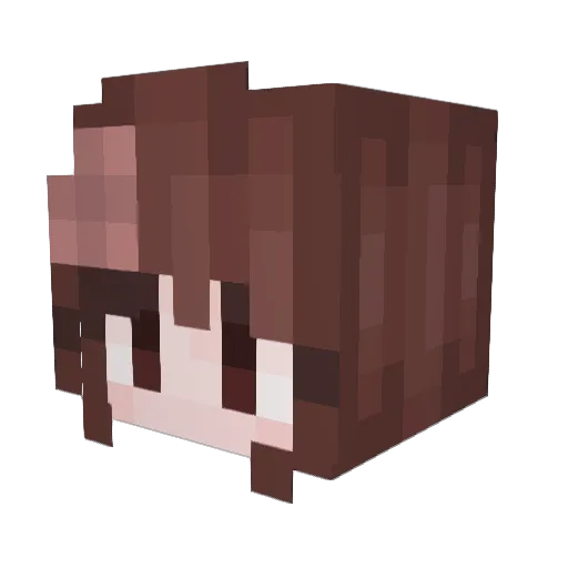 EMpowered06 Minecraft avatar head, 3D render
