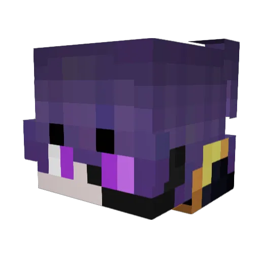 ENDERN3NRO Minecraft avatar head, 3D render