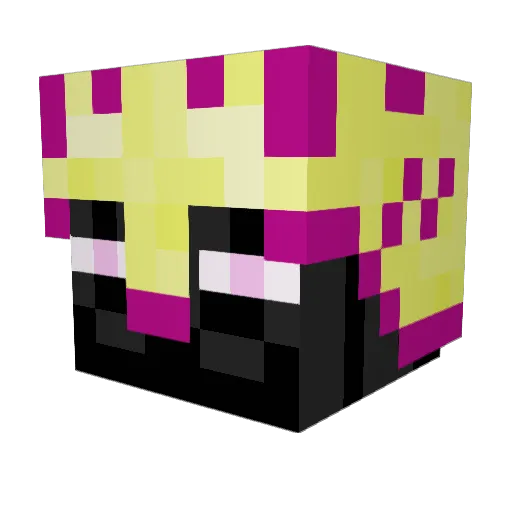 ENDERSOLDIER888 Minecraft avatar head, 3D render