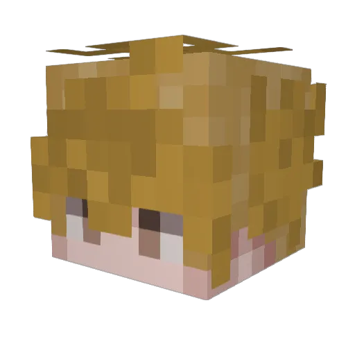 ENDRIT_TETOVO Minecraft avatar head, 3D render