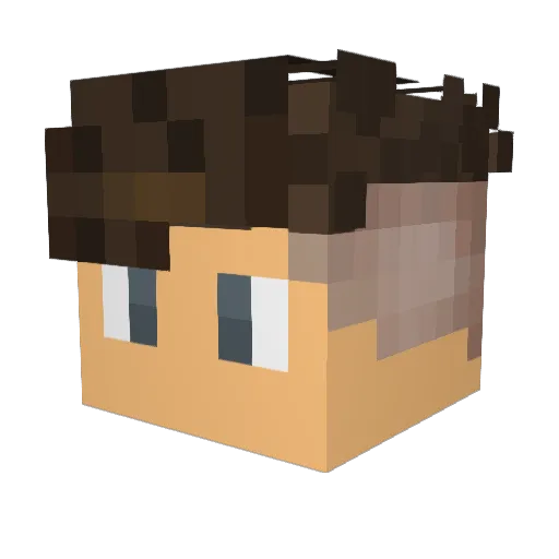ENDRY199 Minecraft avatar head, 3D render