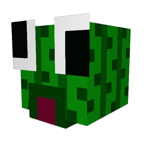 ENENENENENEN Minecraft avatar head, 3D render
