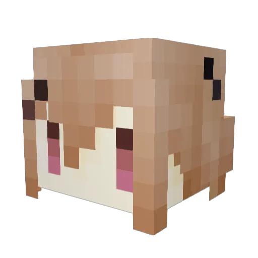 ENENGEGE Minecraft avatar head, 3D render